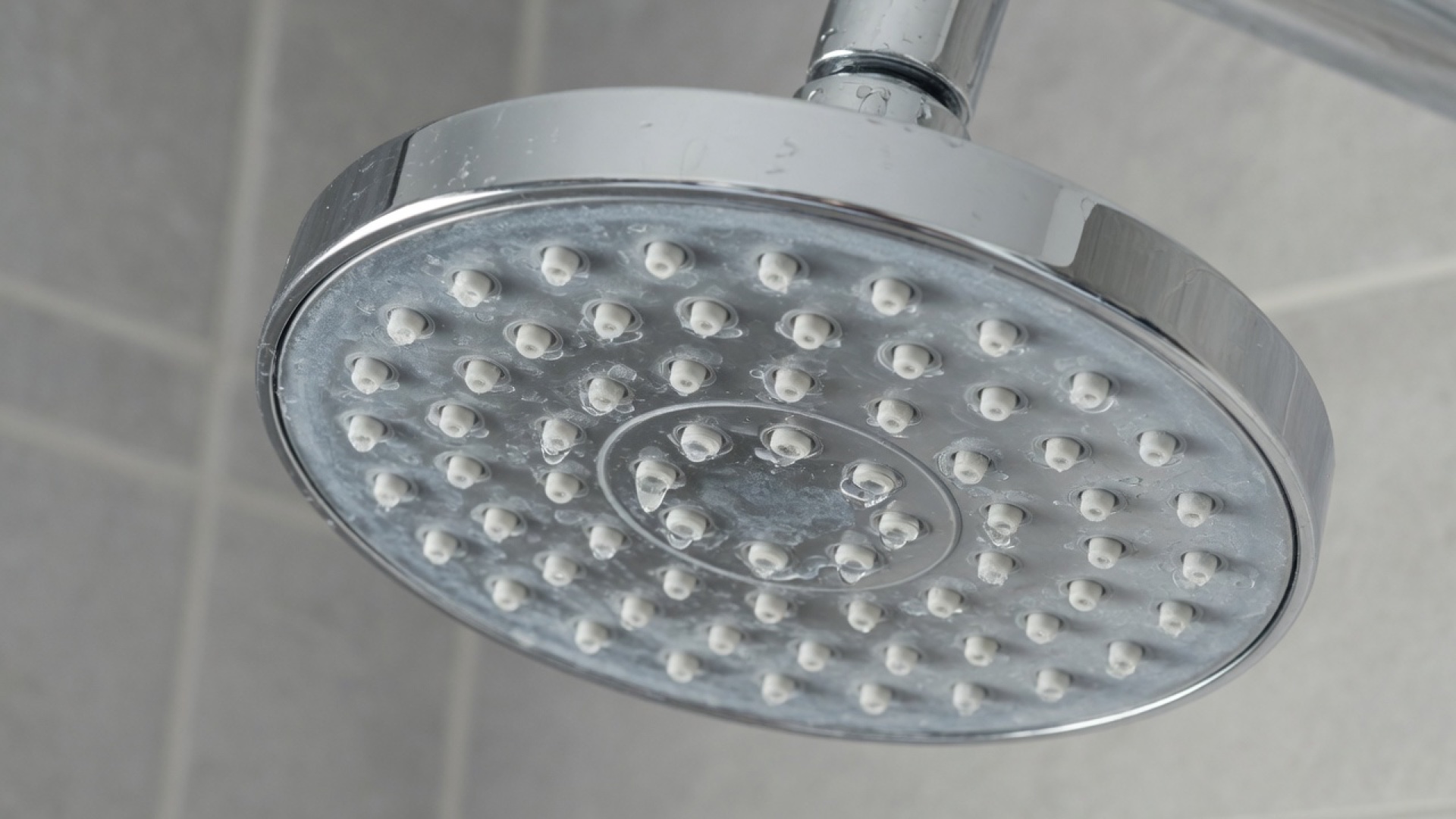 Chrome shower head with light mineral scale