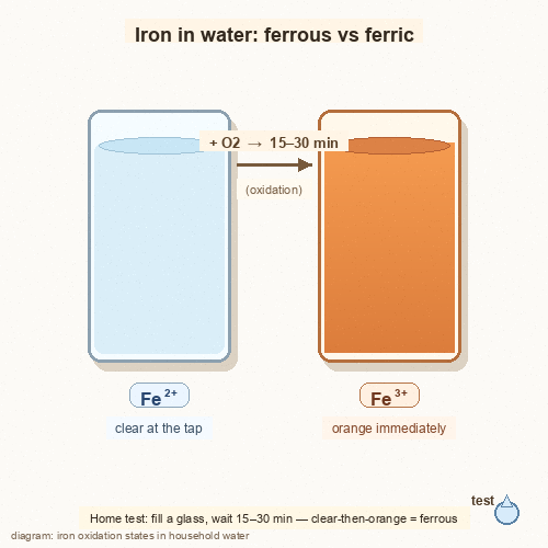 Diagram: two glasses, Fe2+ ferrous clear and Fe3+ ferric orange, with oxidation arrow